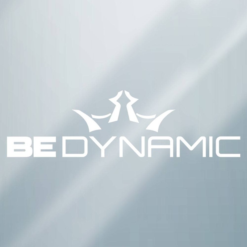 Dynamic Discs Be Dynamic Logo Vinyl Decal Sticker
