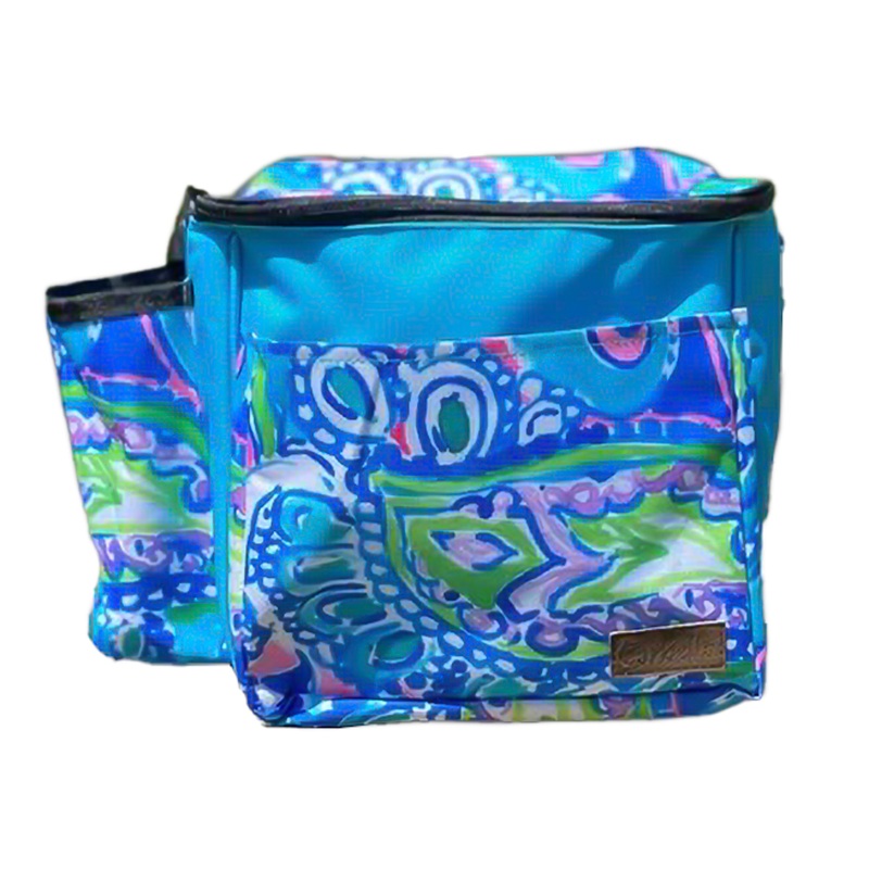 Teal Sea Classic Disc Golf Bag