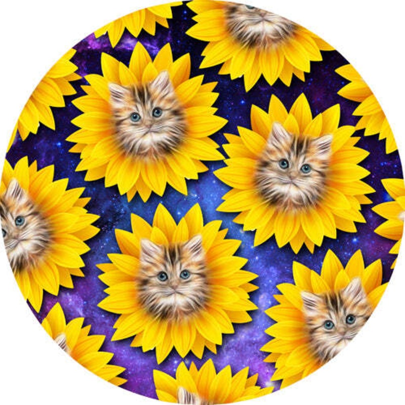 Westside Discs Tournament Tursas – DyeMax Space Kitty Sunflowers